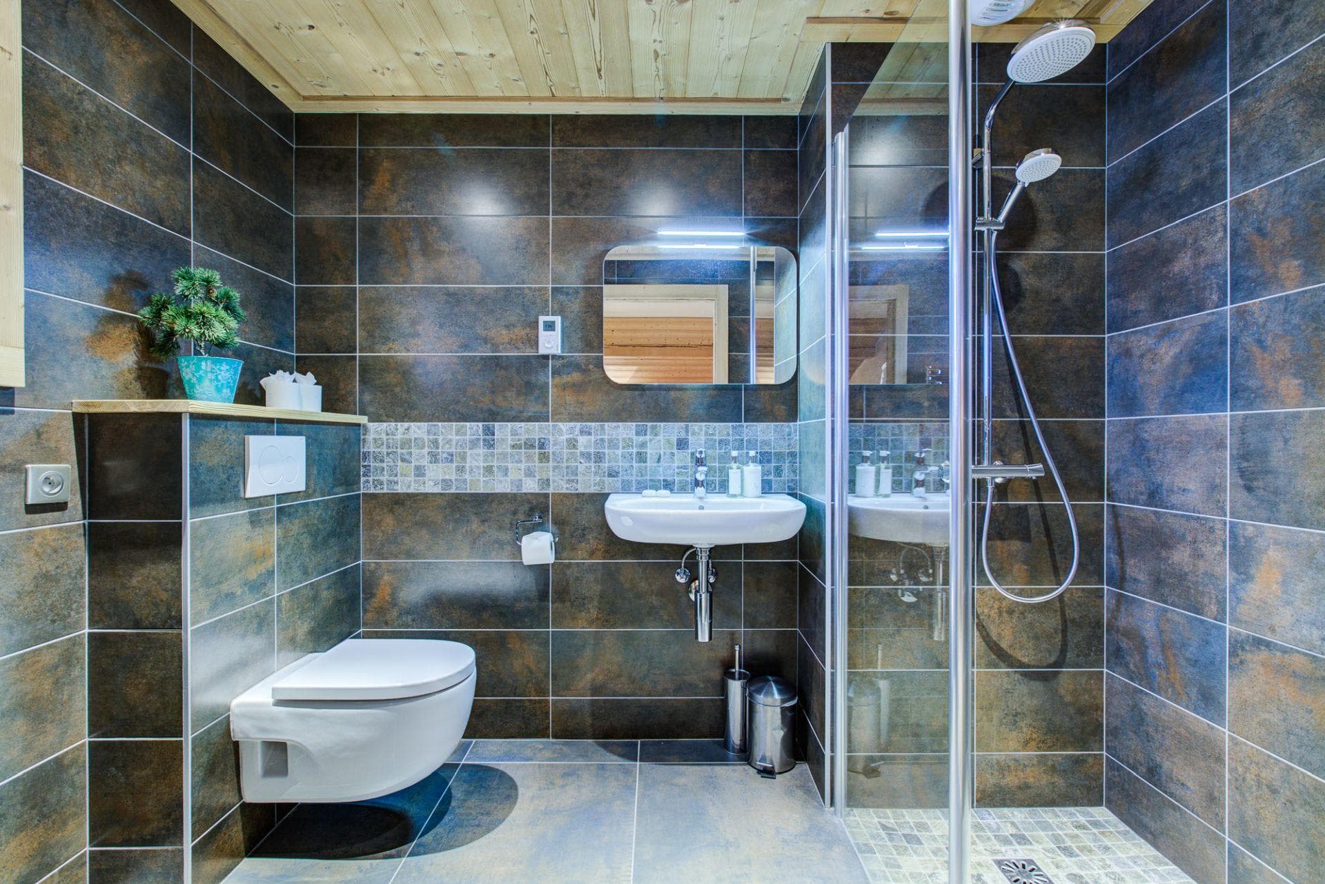 Bathroom with walk-in shower featuring rainfall and handheld heads